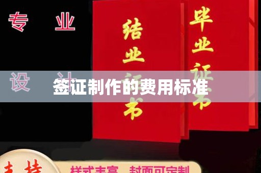 秦淮签证制作的费用标准